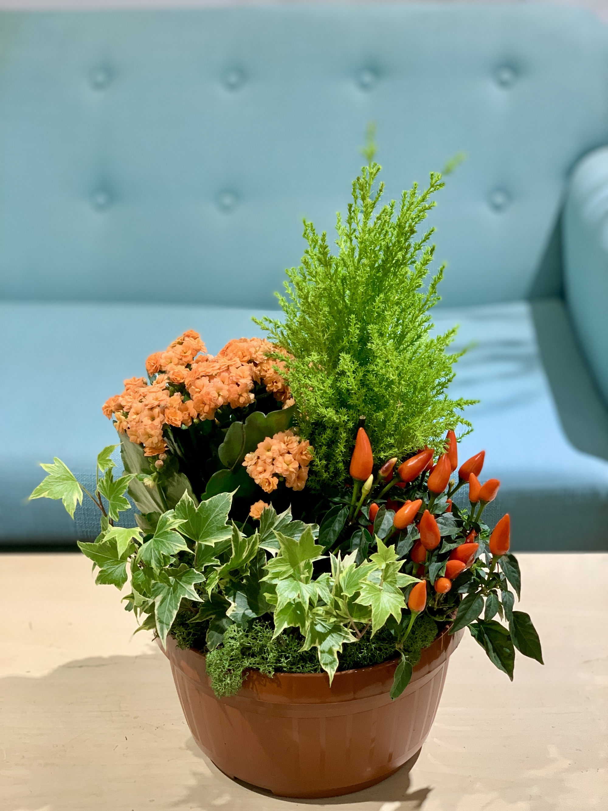 Petite coupe de plantes ext&eacute;rieures