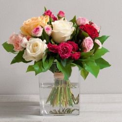 roses variees