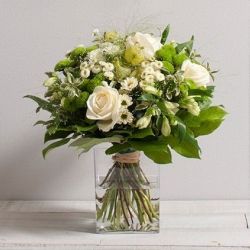 coton