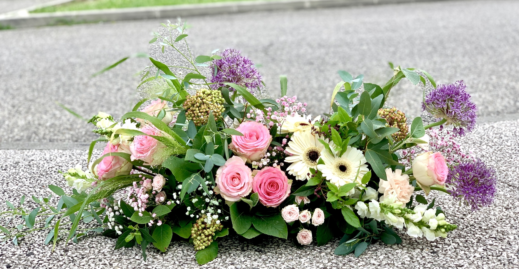 Raquette &eacute;l&eacute;gante